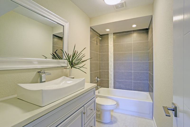 Top Tub To Shower Conversion Companies in Tempe, AZ